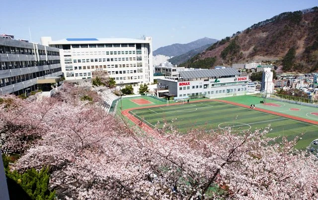 Tin tức